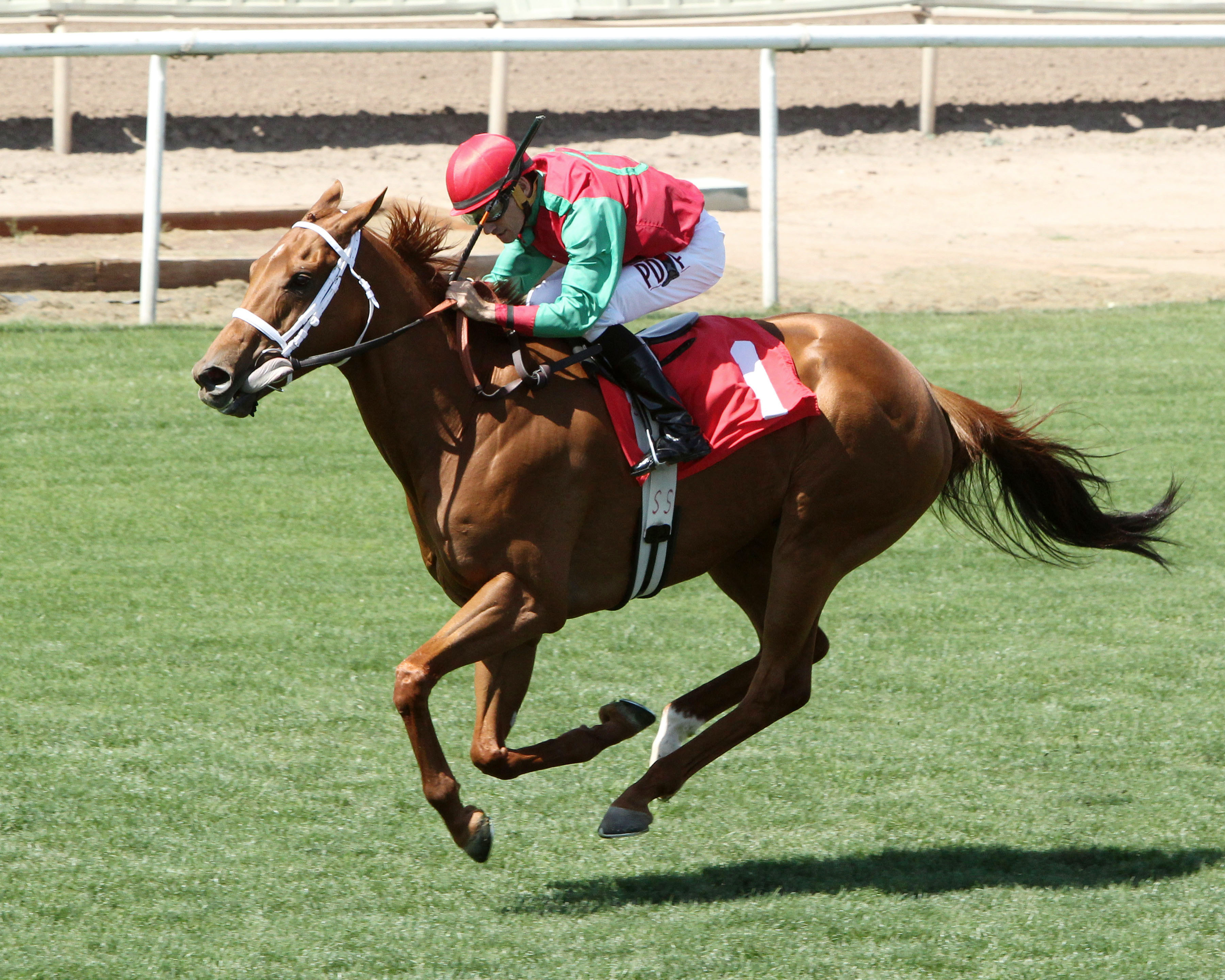 Red Zeus wins the Dwight Patterson