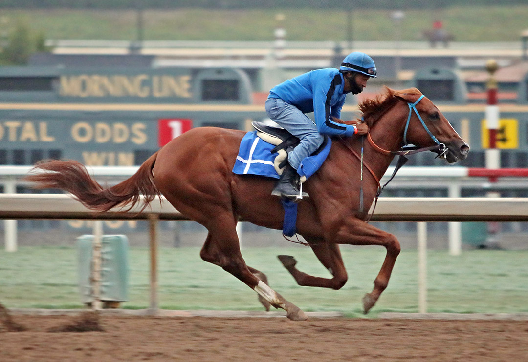 Red Flag trains at Santa Anita Park in September 2020