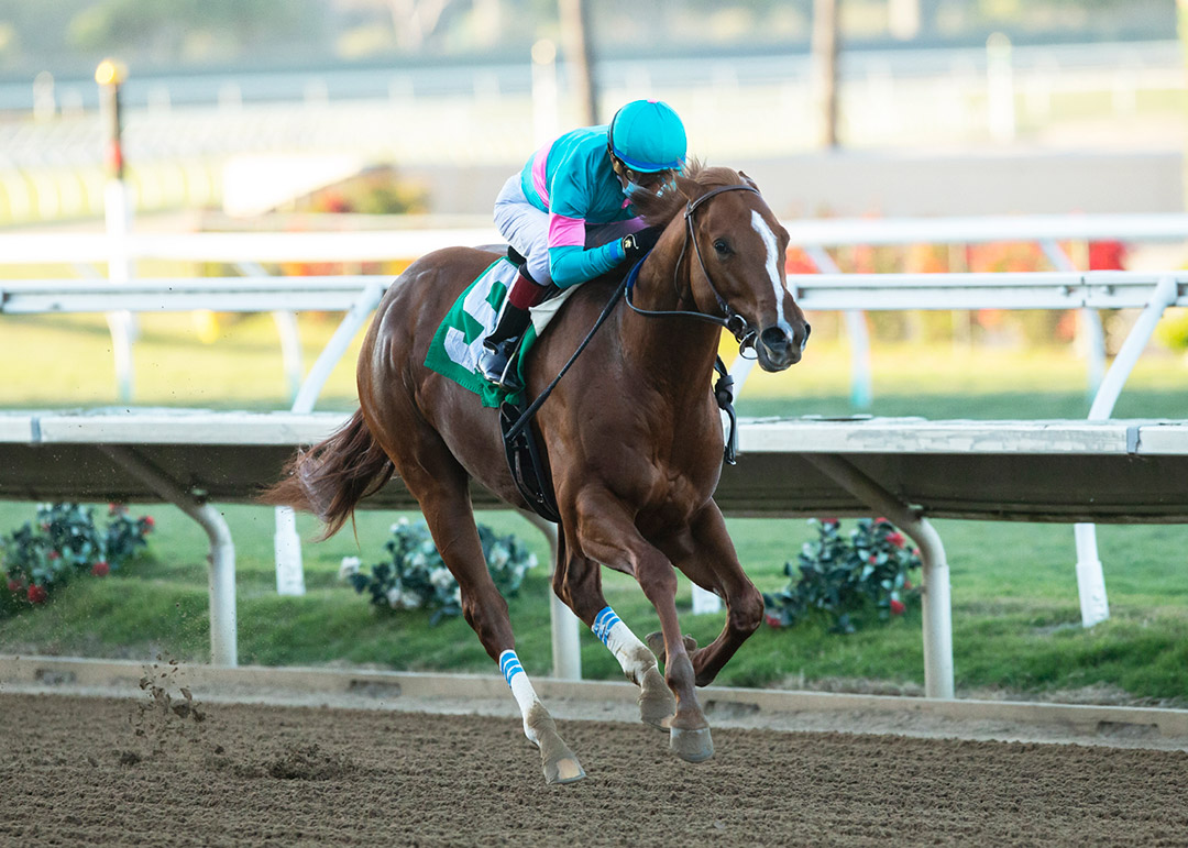 Red Flag wins the 2020 Bob Hope Stakes at Del Mar