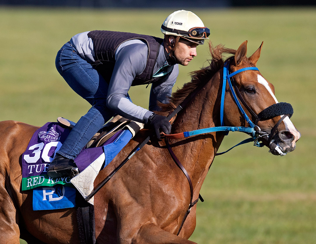 Red King trains at Keeneland in November 2020