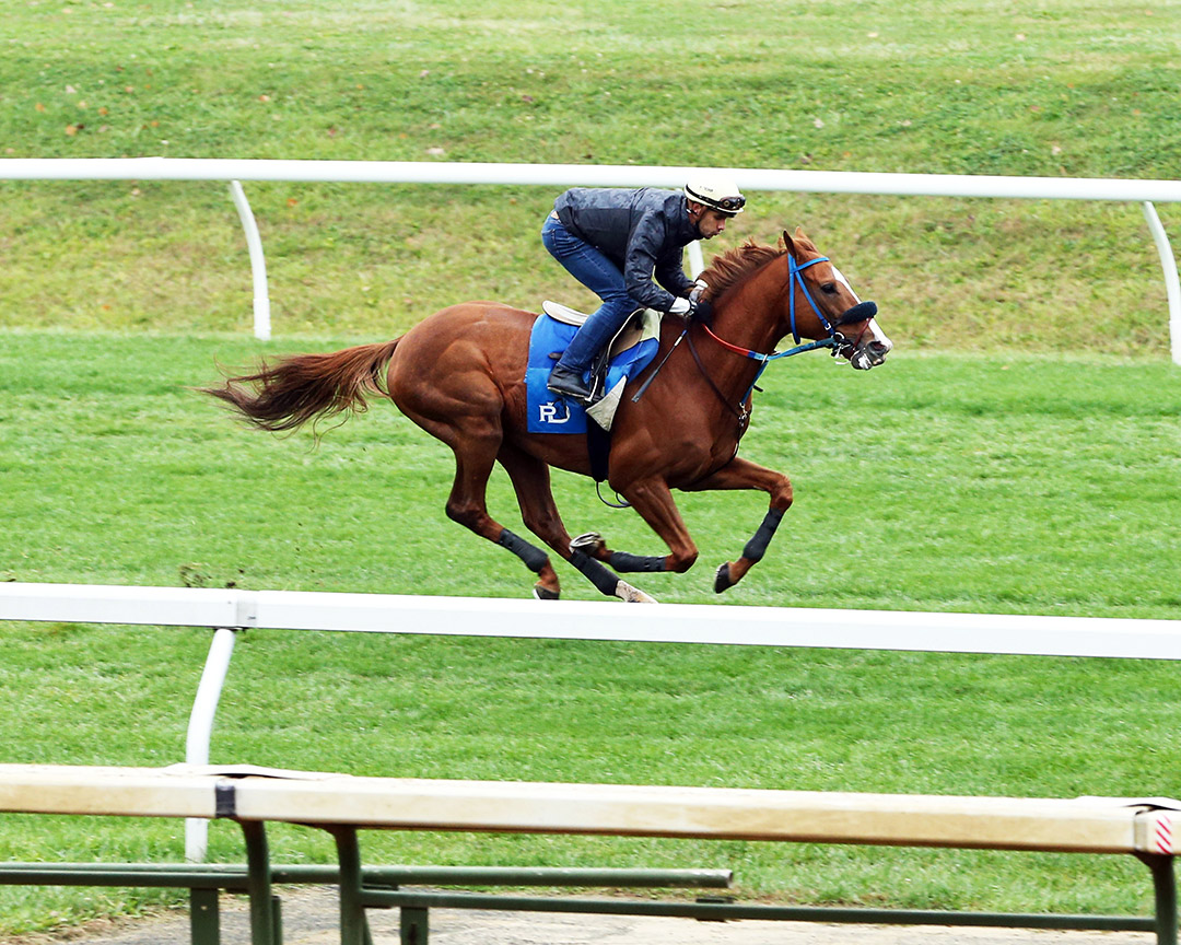 Red King trains at Keeneland on Oct. 25