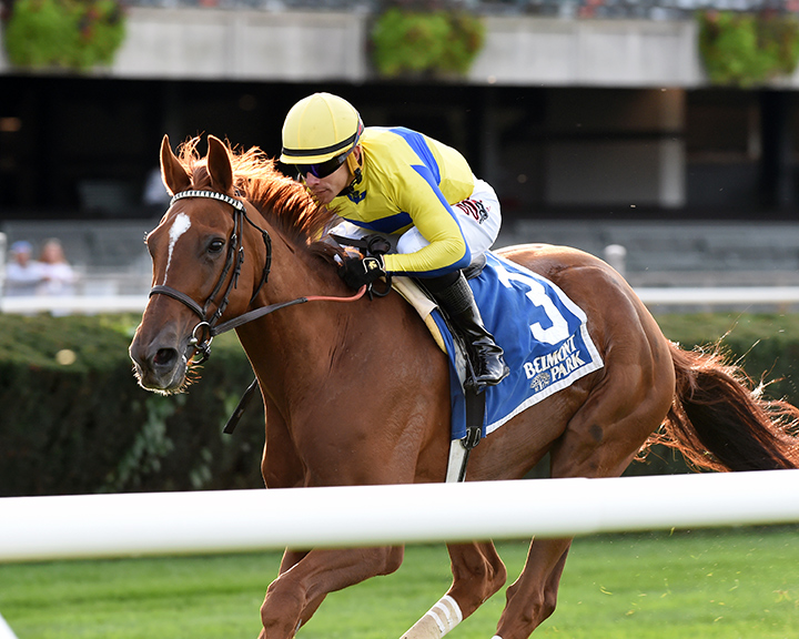 Red Knight wins the 2019 Point of Entry Stakes at Belmont Park