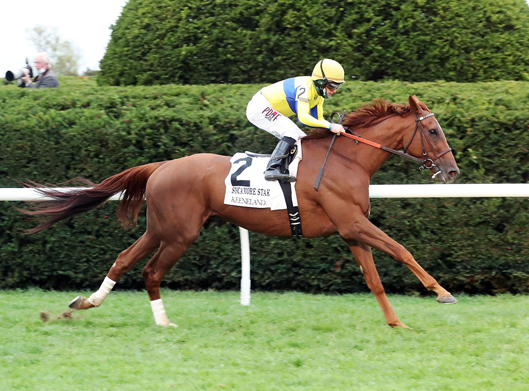 Red Knight wins the 2020 Sycamore Stakes at Keeneland Racecourse