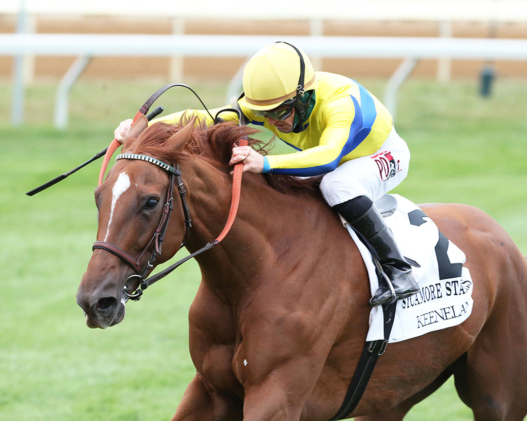 Red Knight wins the 2020 Sycamore Stakes at Keeneland Racecourse