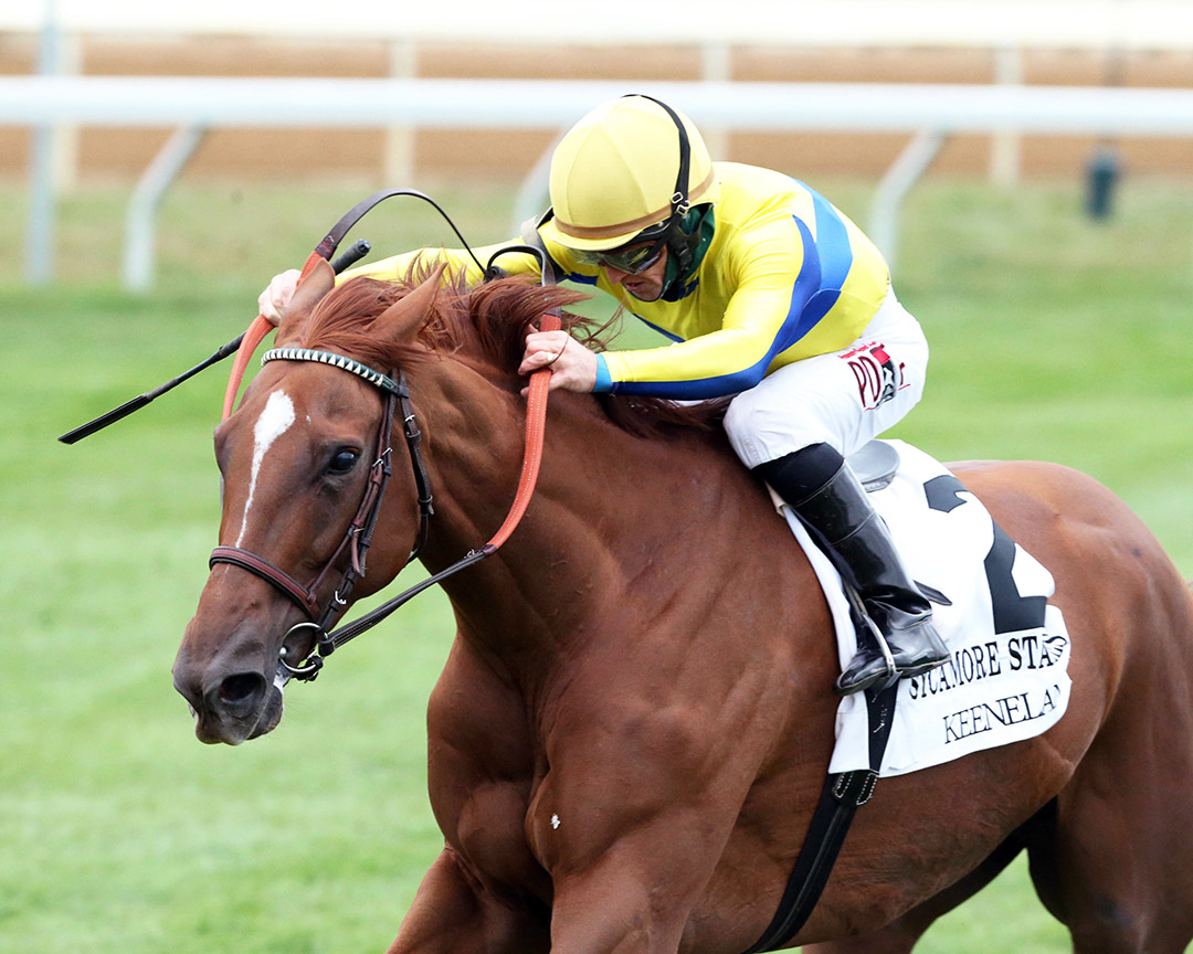 Red Knight wins the 2020 Sycamore Stakes at Keeneland