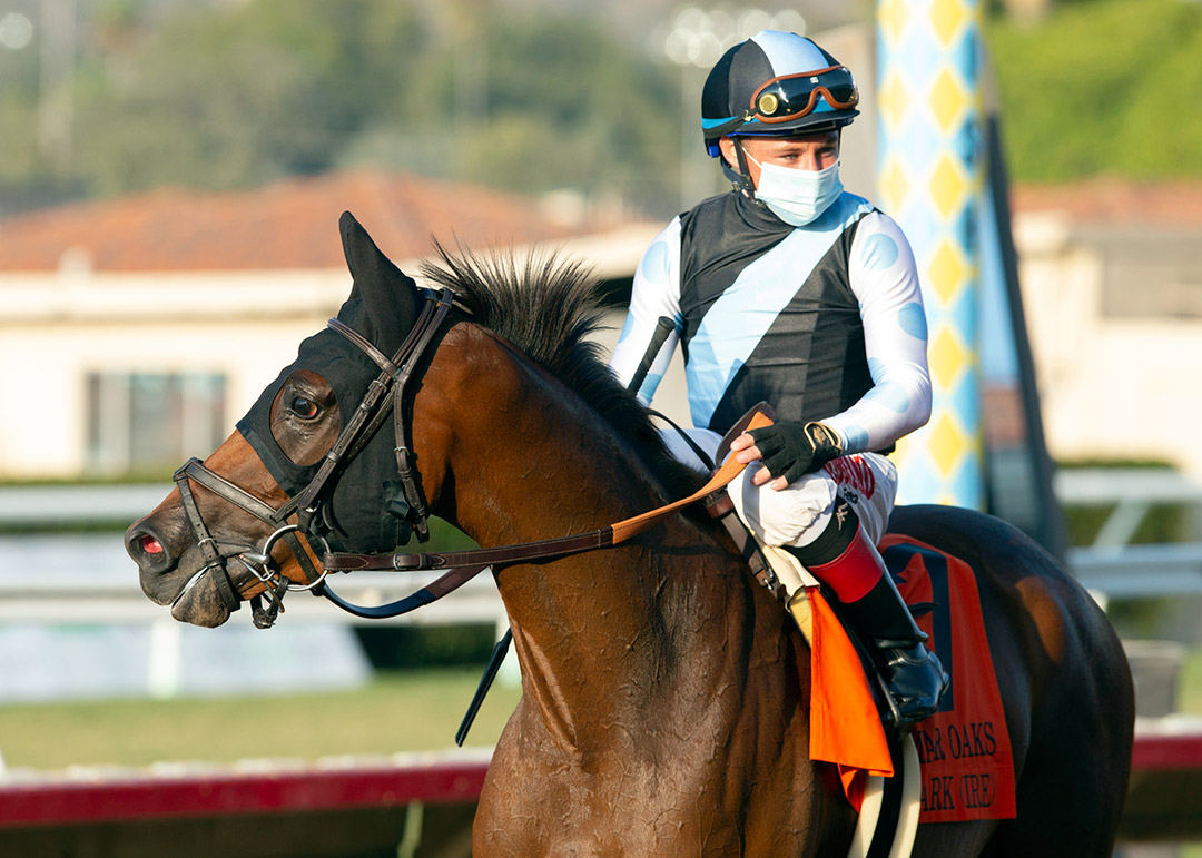 Red Lark after winning the 2020 Del Mar Oaks at Del Mar