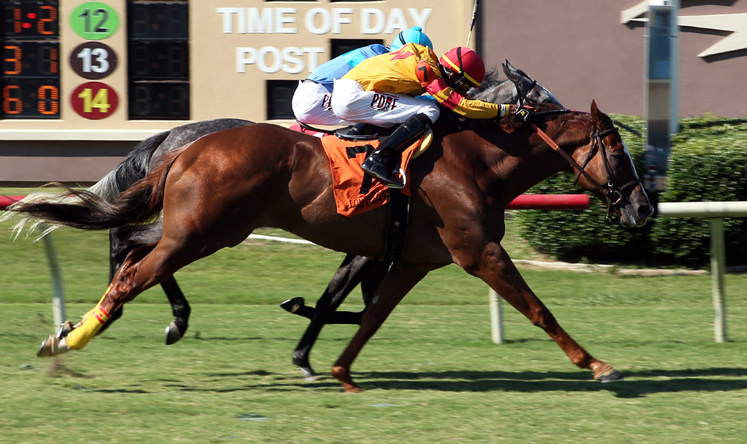 Redatory wins the 2020 Richard King Turf Stakes at Lone Star