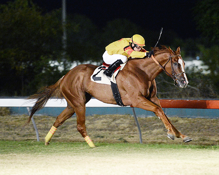 Redatory wins the 2019 Texas Horse Racing Hall Of Fame Stakes at Retama Park