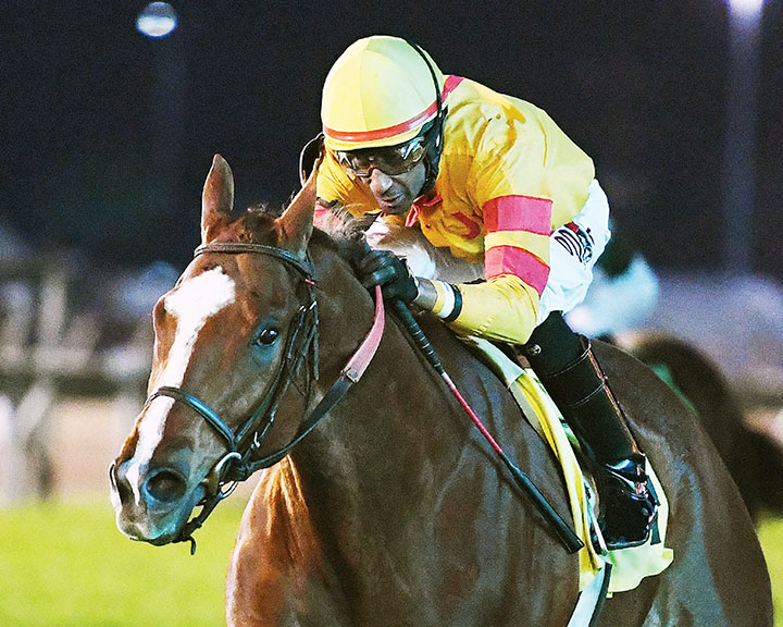 Redatory wins the 2020 Houston Turf Stakes at Sam Houston Race Park