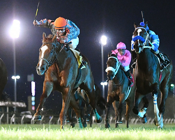 Redatory wins the 2019 Richard King Turf Stakes at Sam Houston