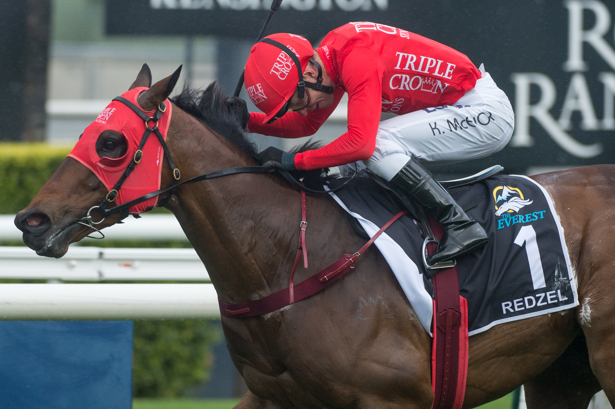 Redzel