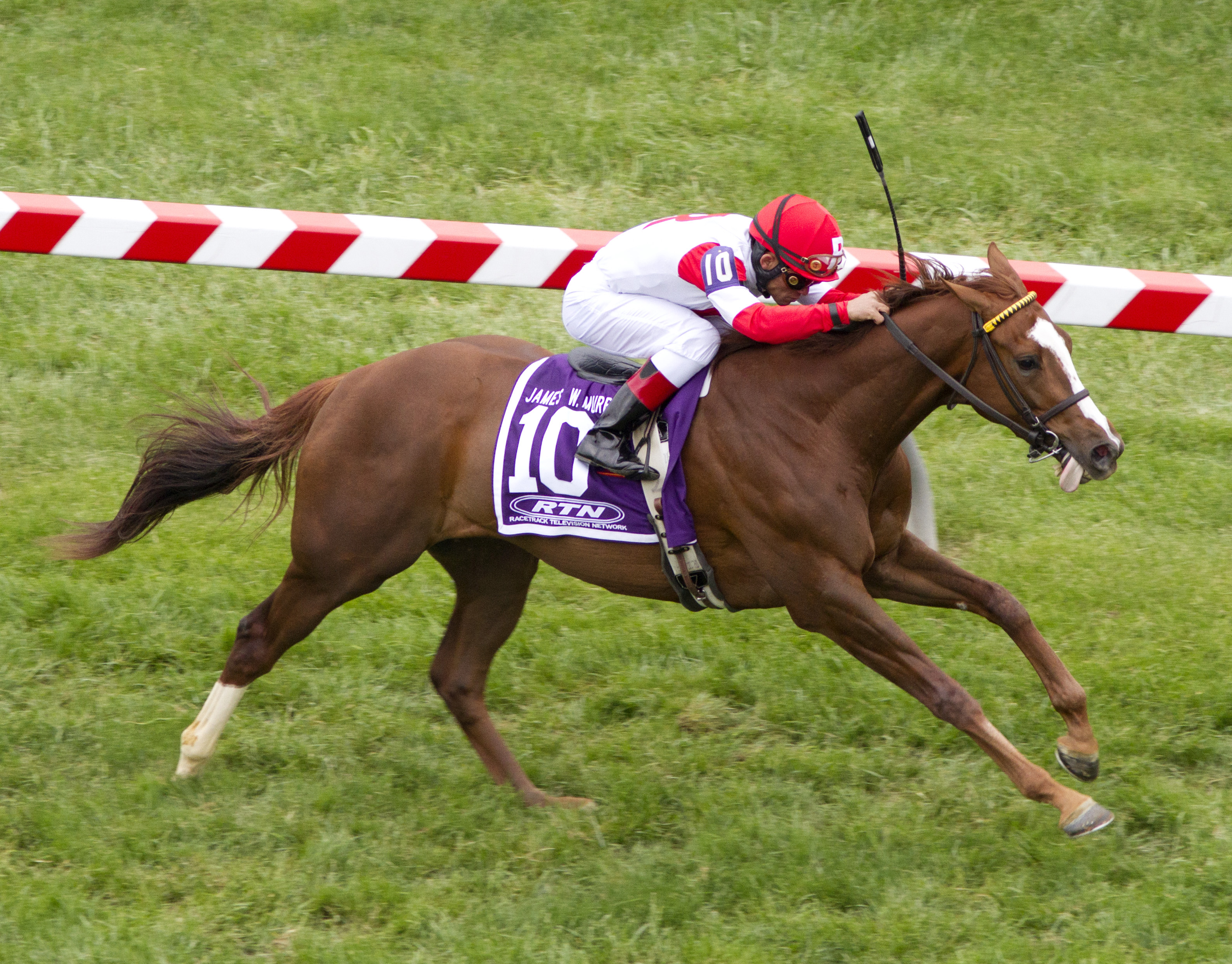 Redwood Kitten, James W. Murphy Stakes