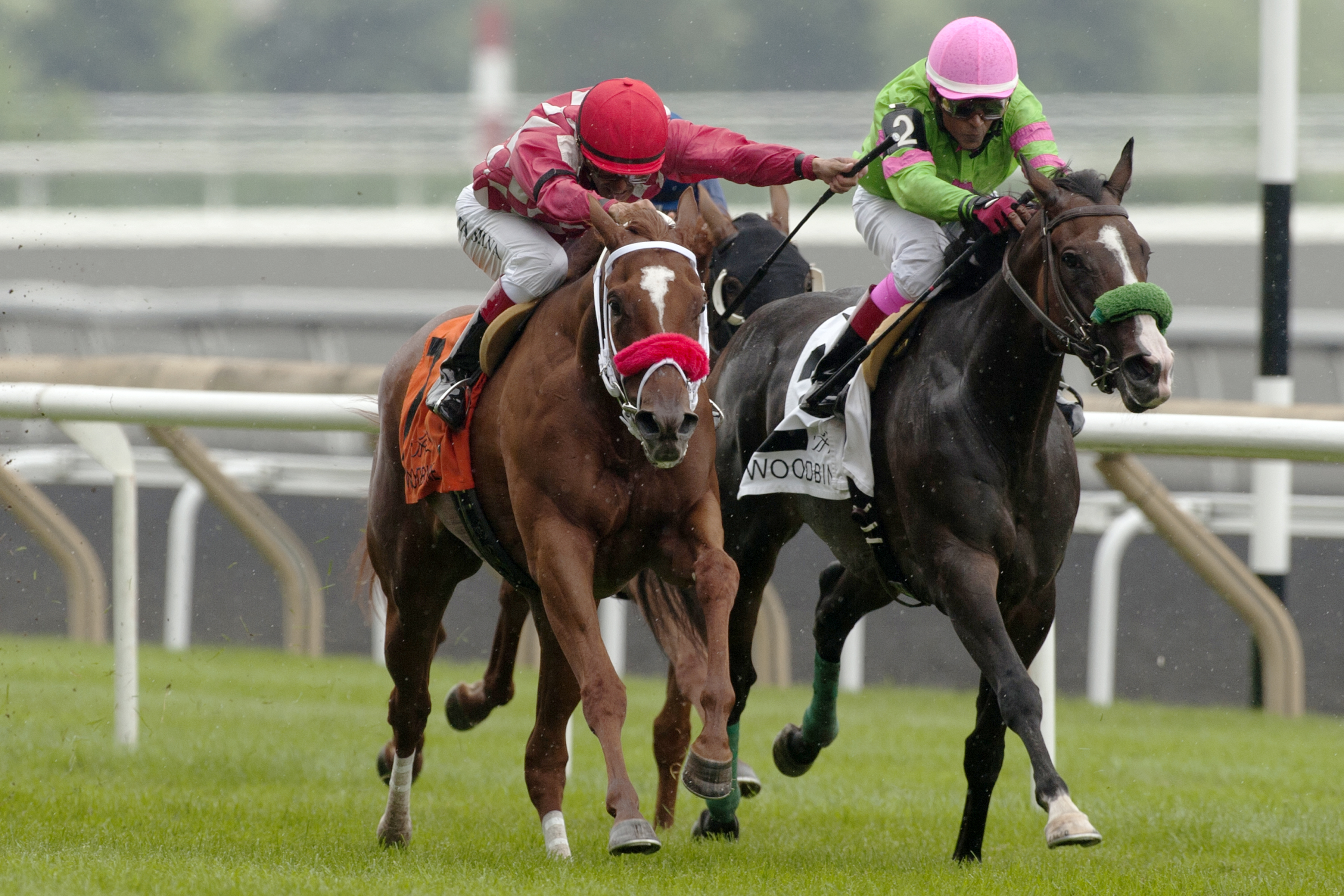 Regal Conqueror wins the Ontario Damsel Stakes