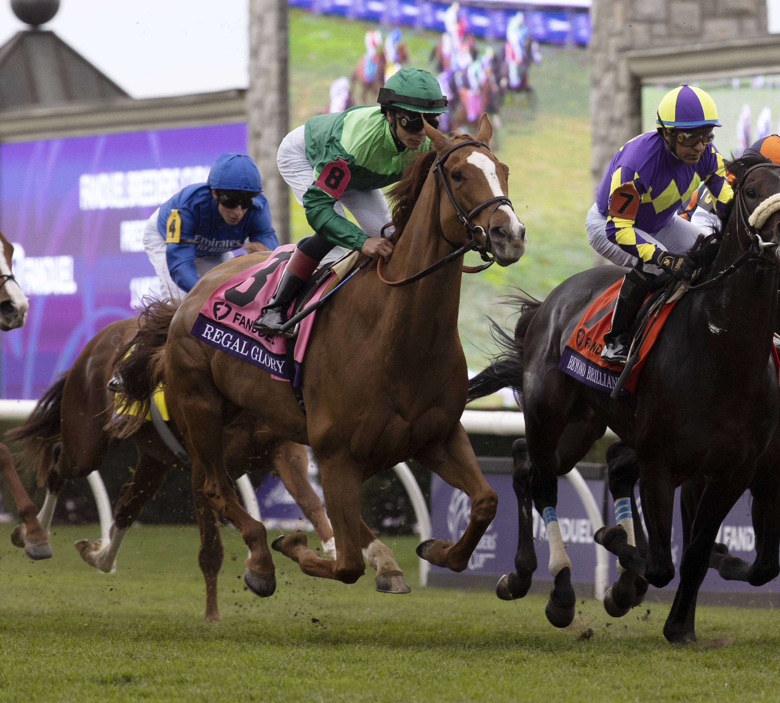 Regal Glory early in BC Mile Nov 5 2022