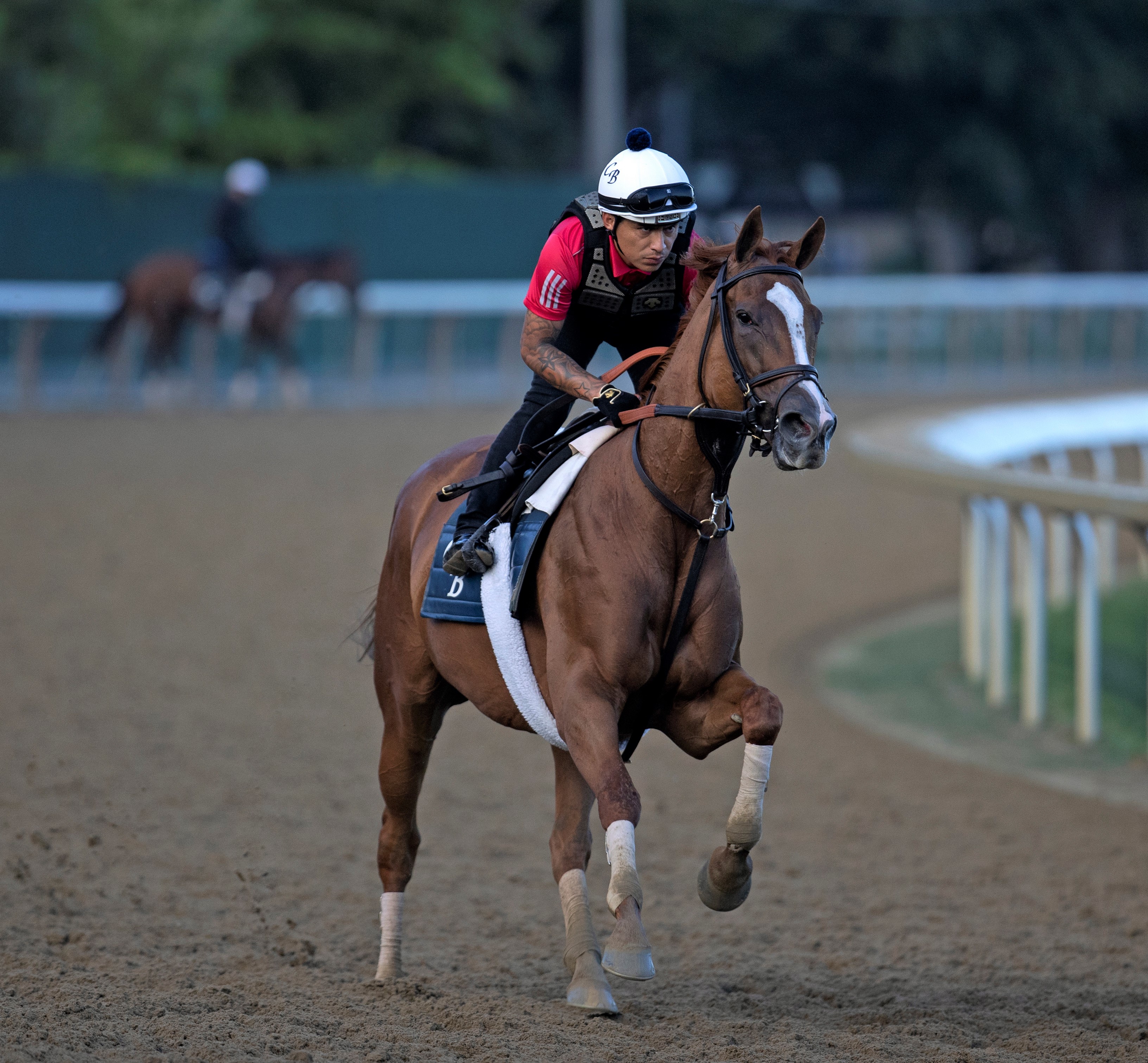 Regal Glory trains at Saratoga Aug 11 2022