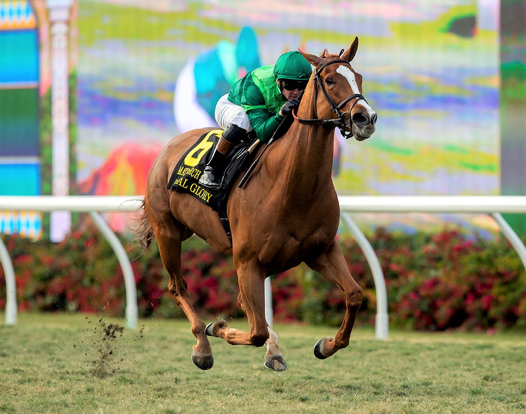 Regal Glory wins Matriarch at Del Mar Dec 4 2022