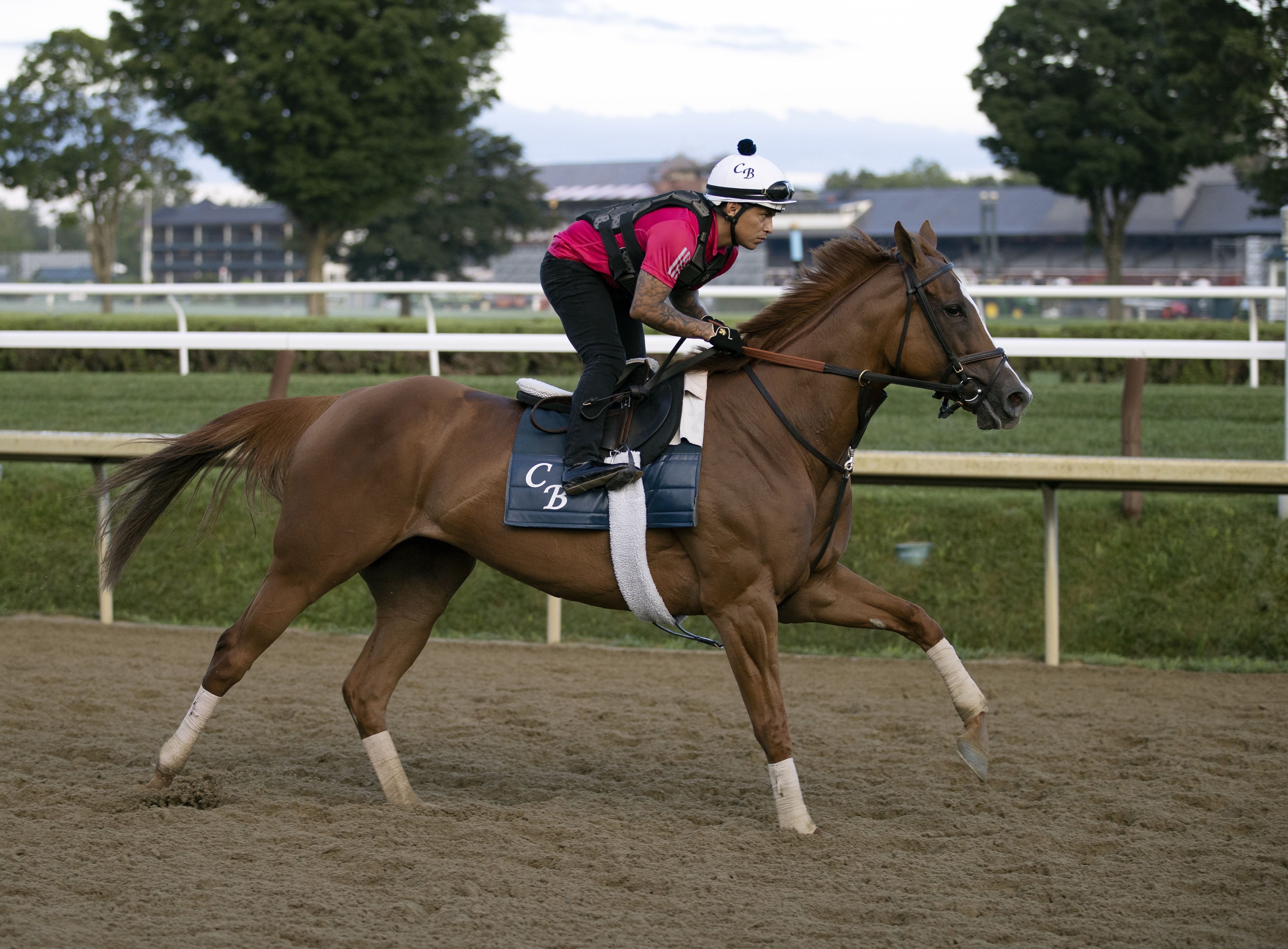 Regal Glory/Aug. 11 Saratoga