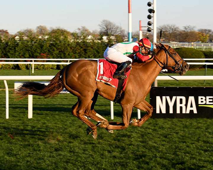 Regal Glory wins the Stewart Manor Stakes