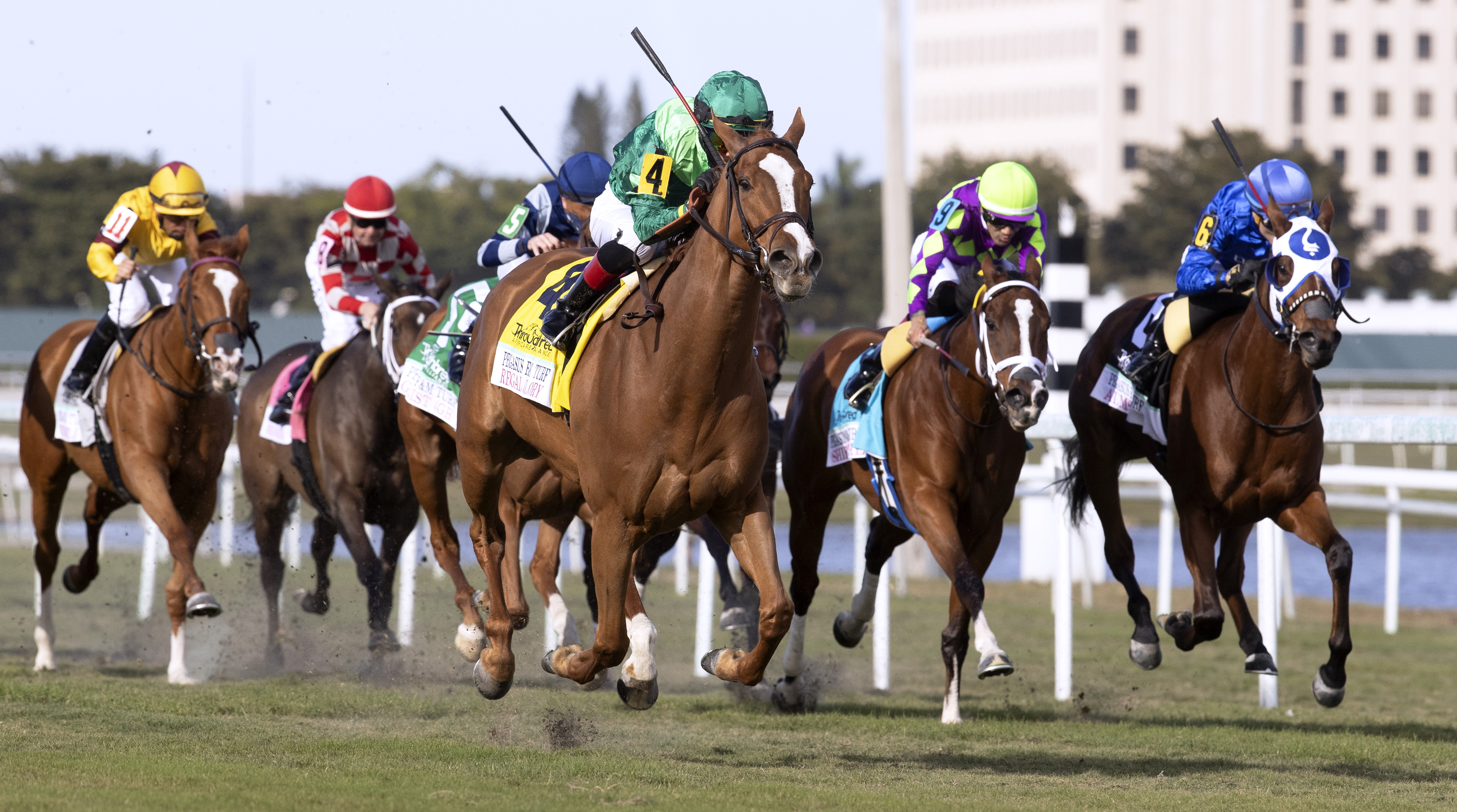 Regal Glory - Pegasus F&M Turf 2022