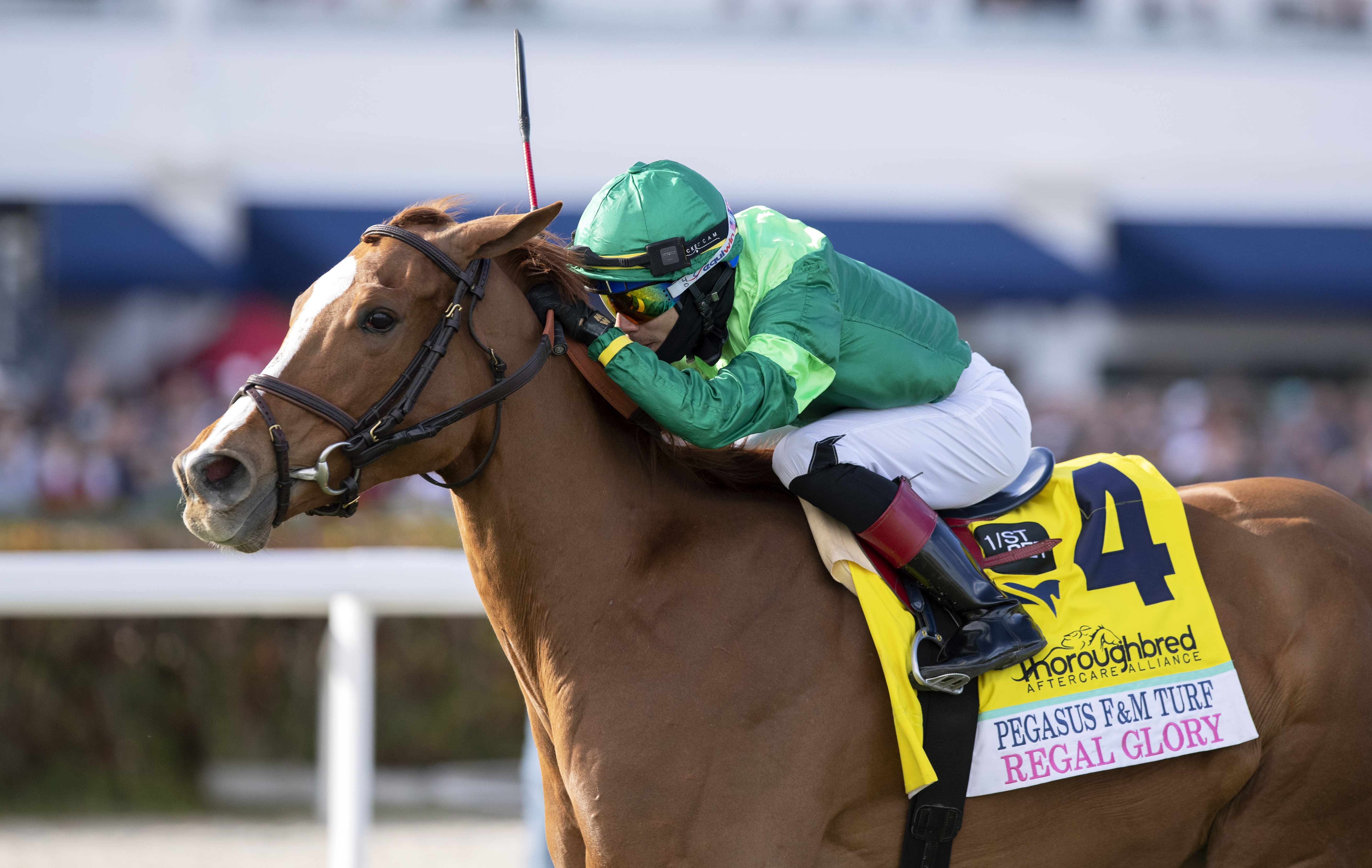 Regal Glory/Pegaus World Cup Filly and Mare Turf