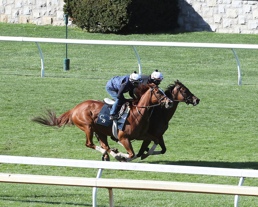Regal Glory (outside) and Shantisara train at Keeneland on April 10