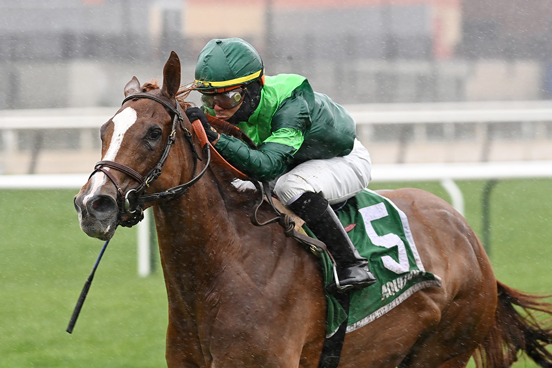Regal Glory wins the 2021 Plenty of Grace Stakes at Aqueduct