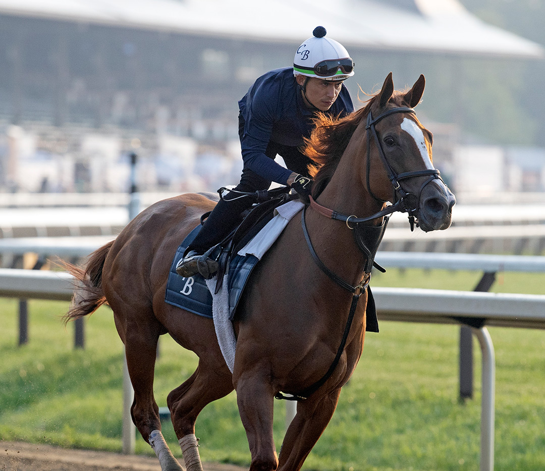 Regal Glory trains at Saratoga Race Course on Aug. 6