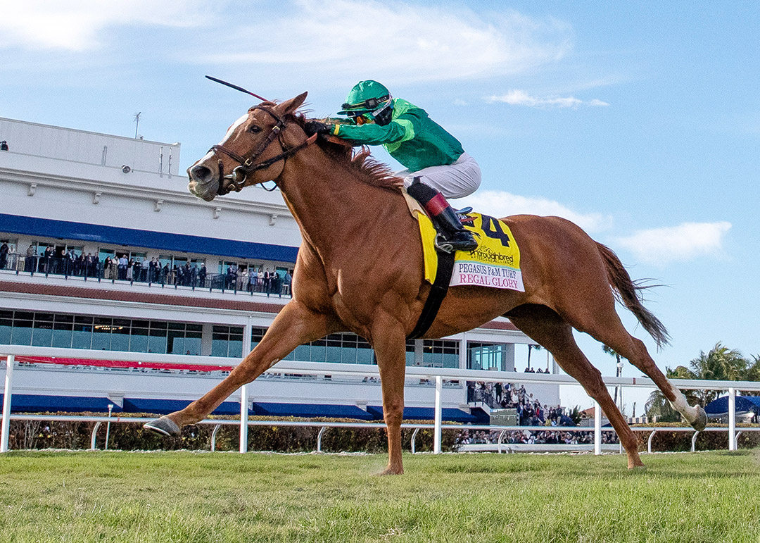 Regal Glory wins the Pegasus World Cup Filly and Mare Turf at Gulfstream Park