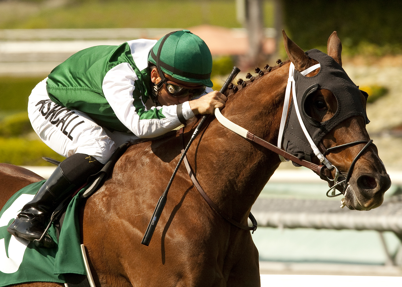 Regally Ready, J2011 oe Hernandez Stakes