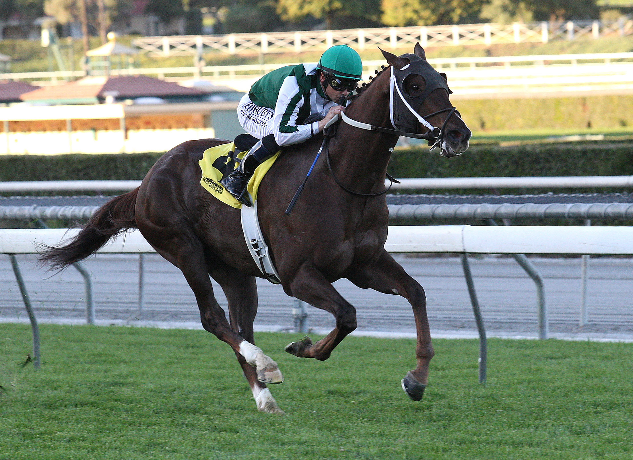 Regally Ready Santa Anita 1-2-14