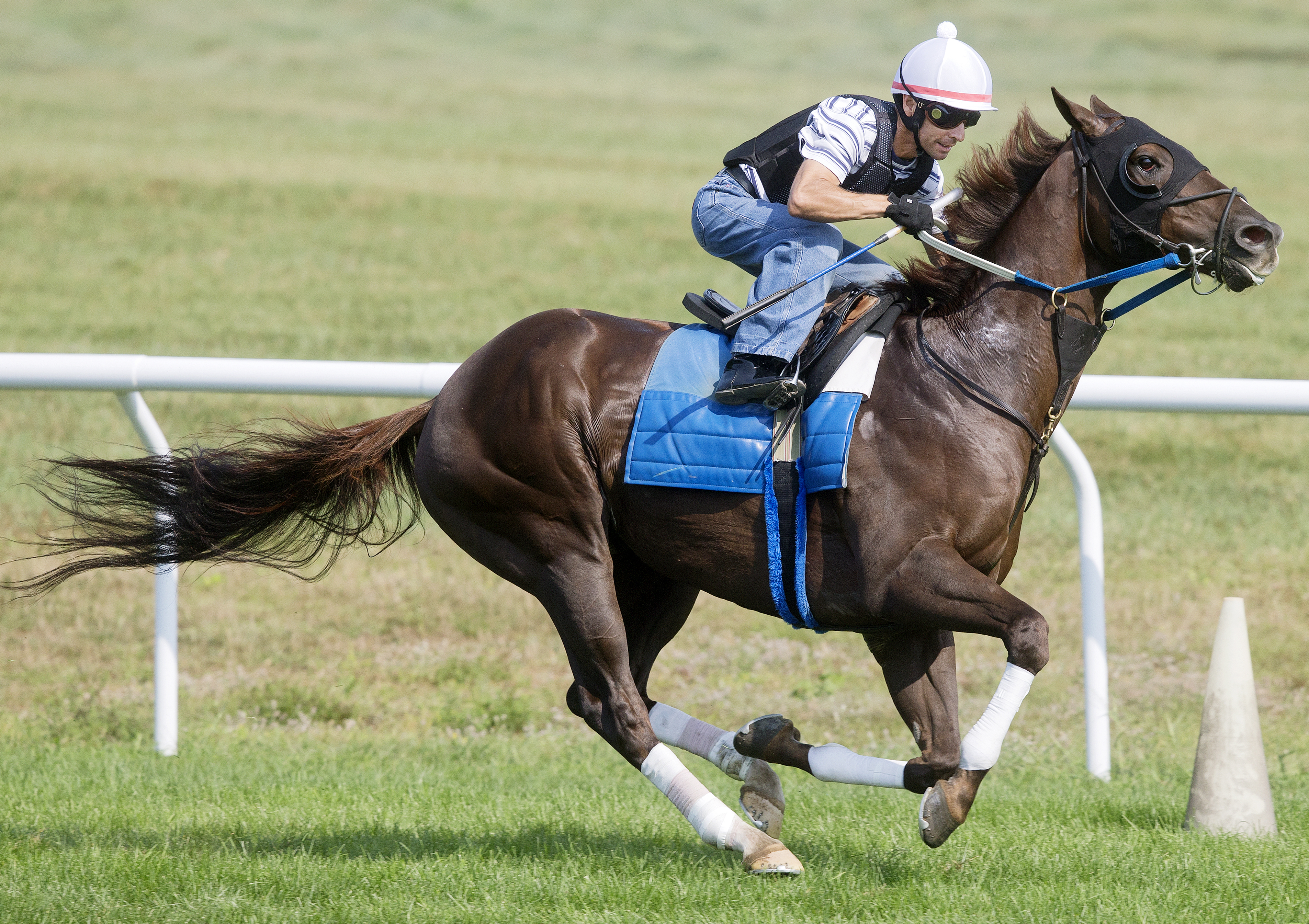 Regally Ready training in August 2015