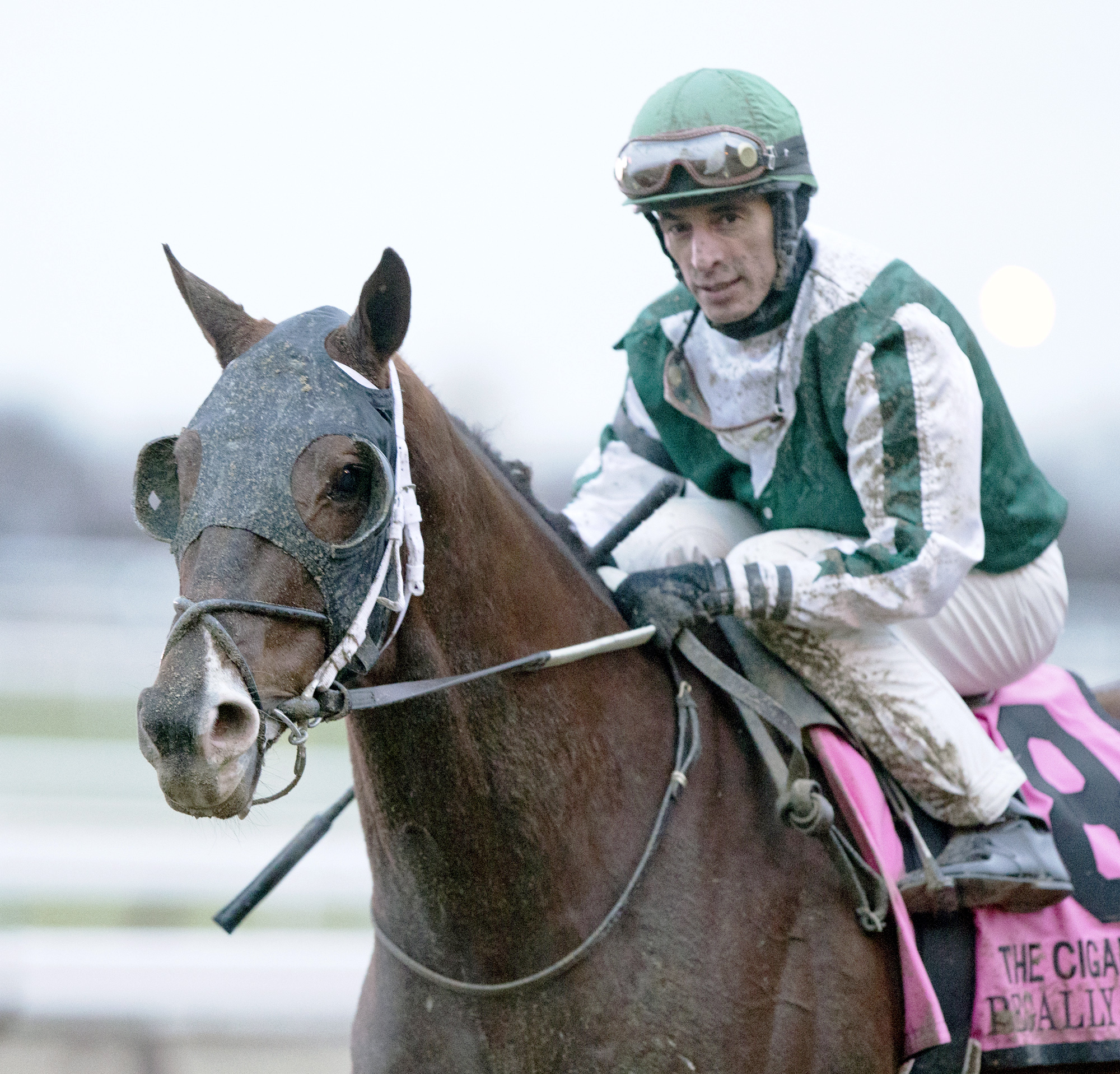 Regally Ready finishes seventh in the Cigar Mile