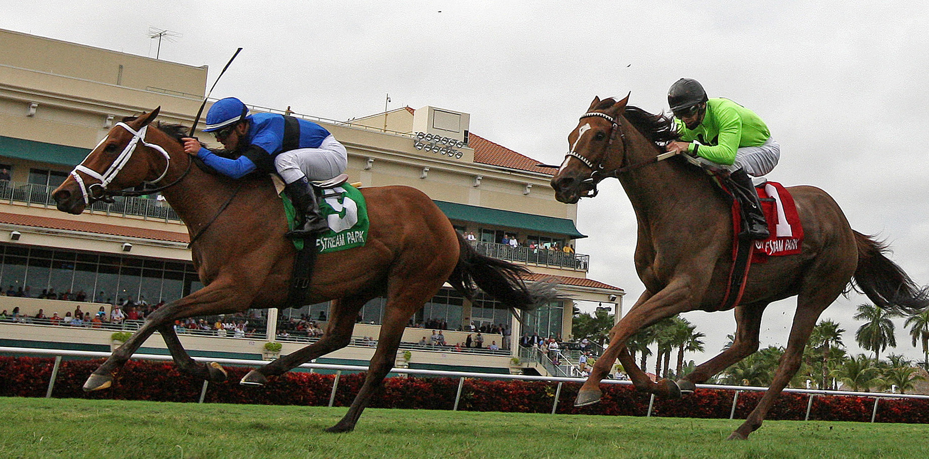 Regalo Mia, Hooh Why, Sunshine Millions Filly & Mare Turf Stakes