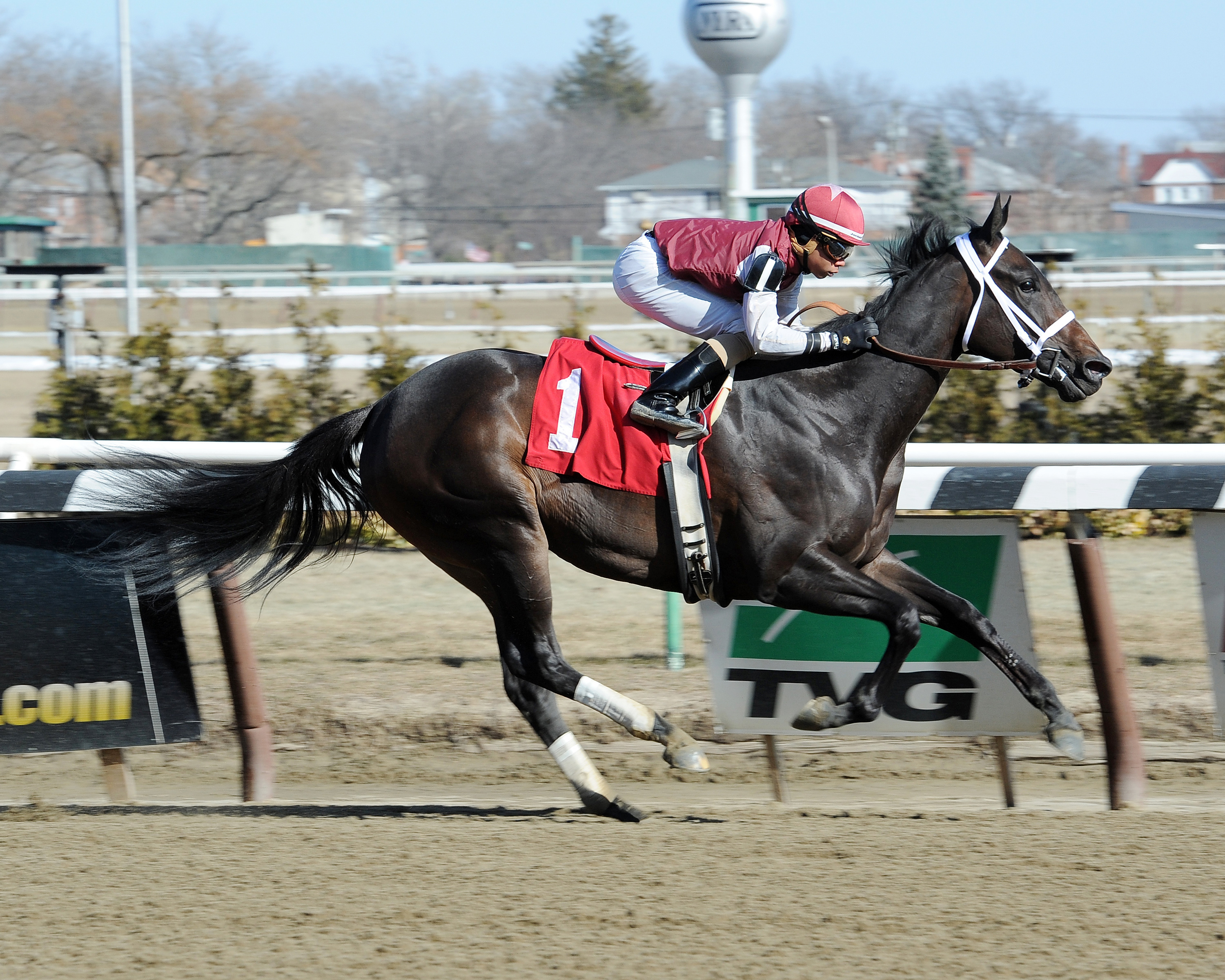 Regent's House wins a maiden race