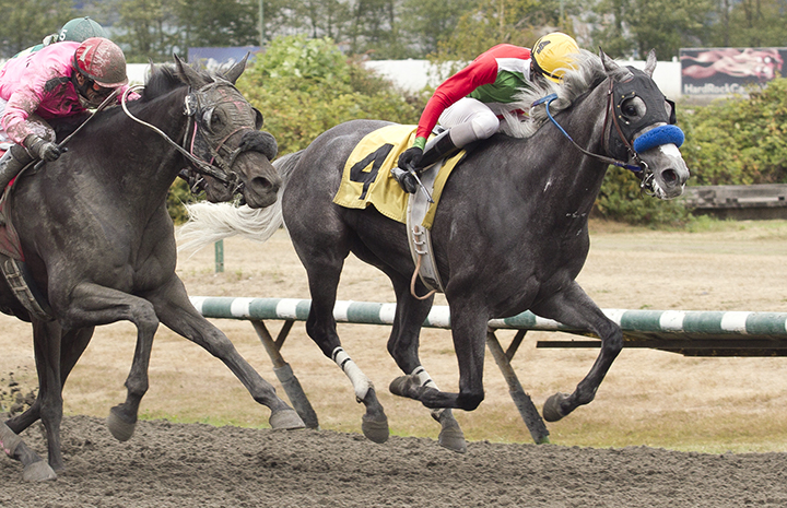 Reginella wins the 2018 Delta Colleen