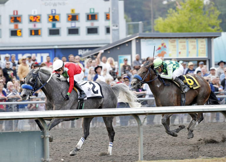 Reginella wins the 2018 Emerald Distaff