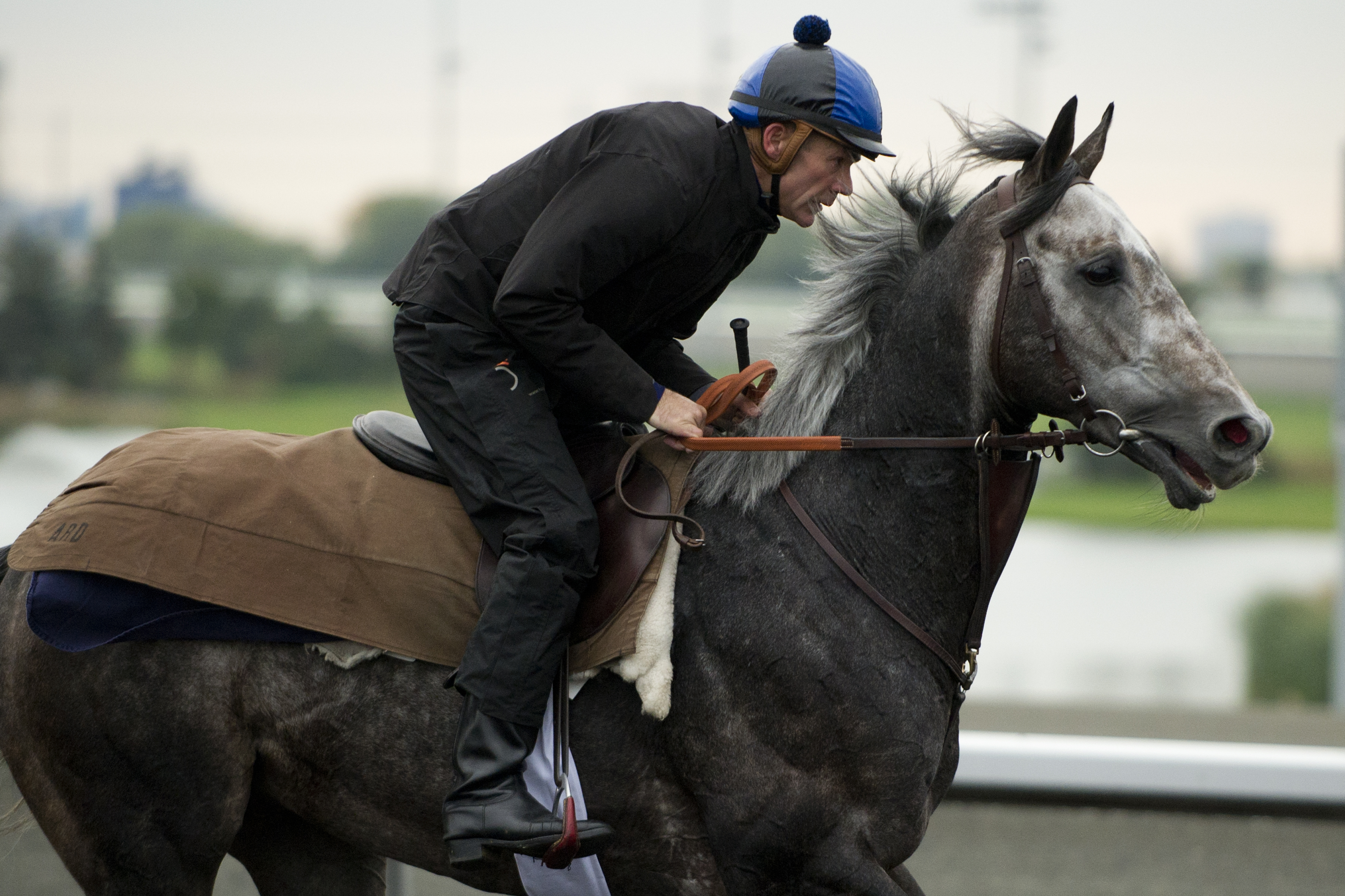 Reliable Man at Woodbine