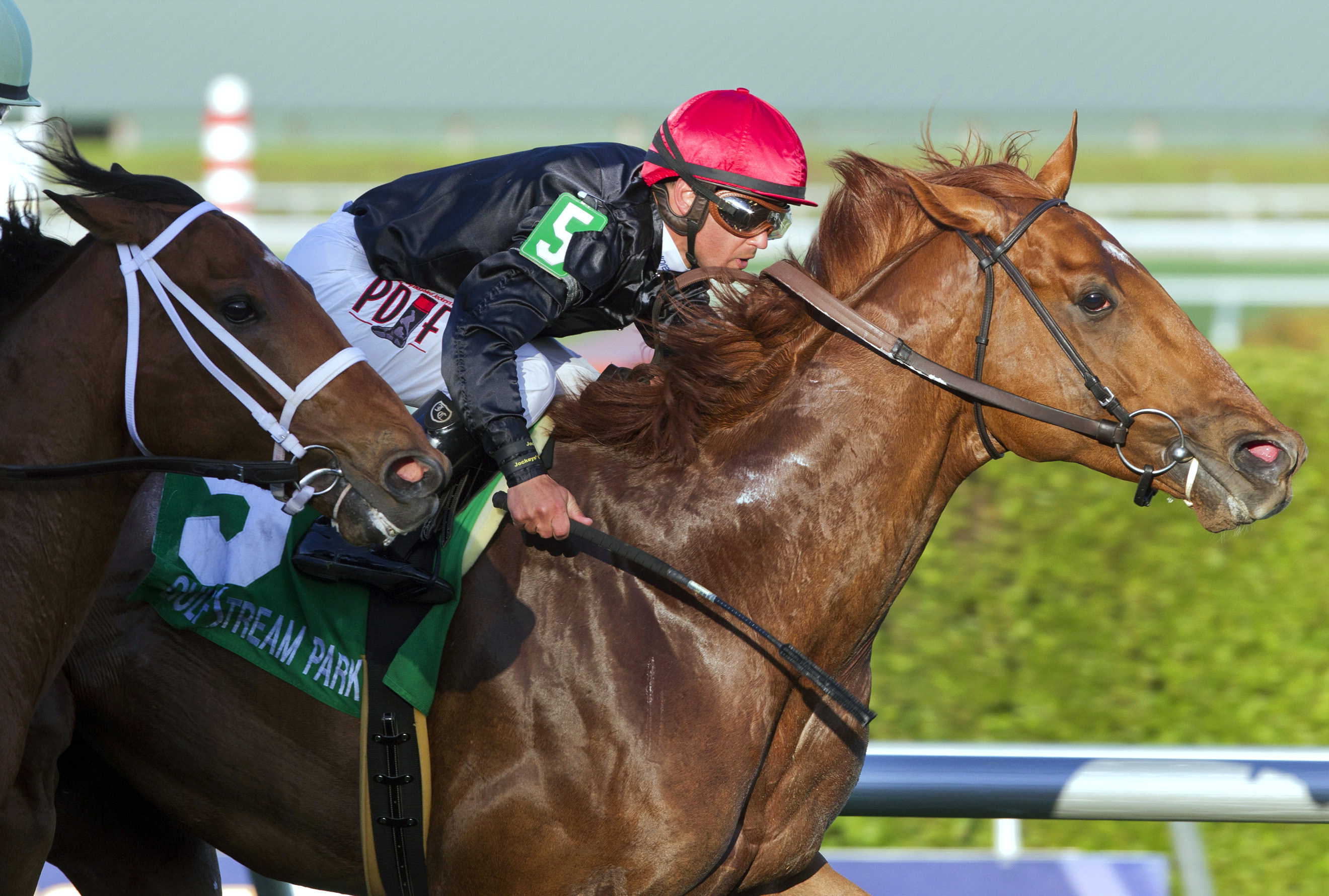 Reload wins the Canadian Turf Stakes