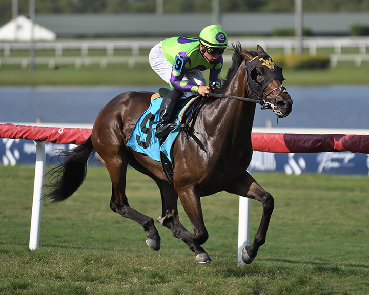 Remaster wins a May 26 maiden race at Gulfstream Park