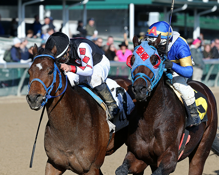 Remembering Rita (right) finishes second in a Nov. 24 allowance at Churchill Downs