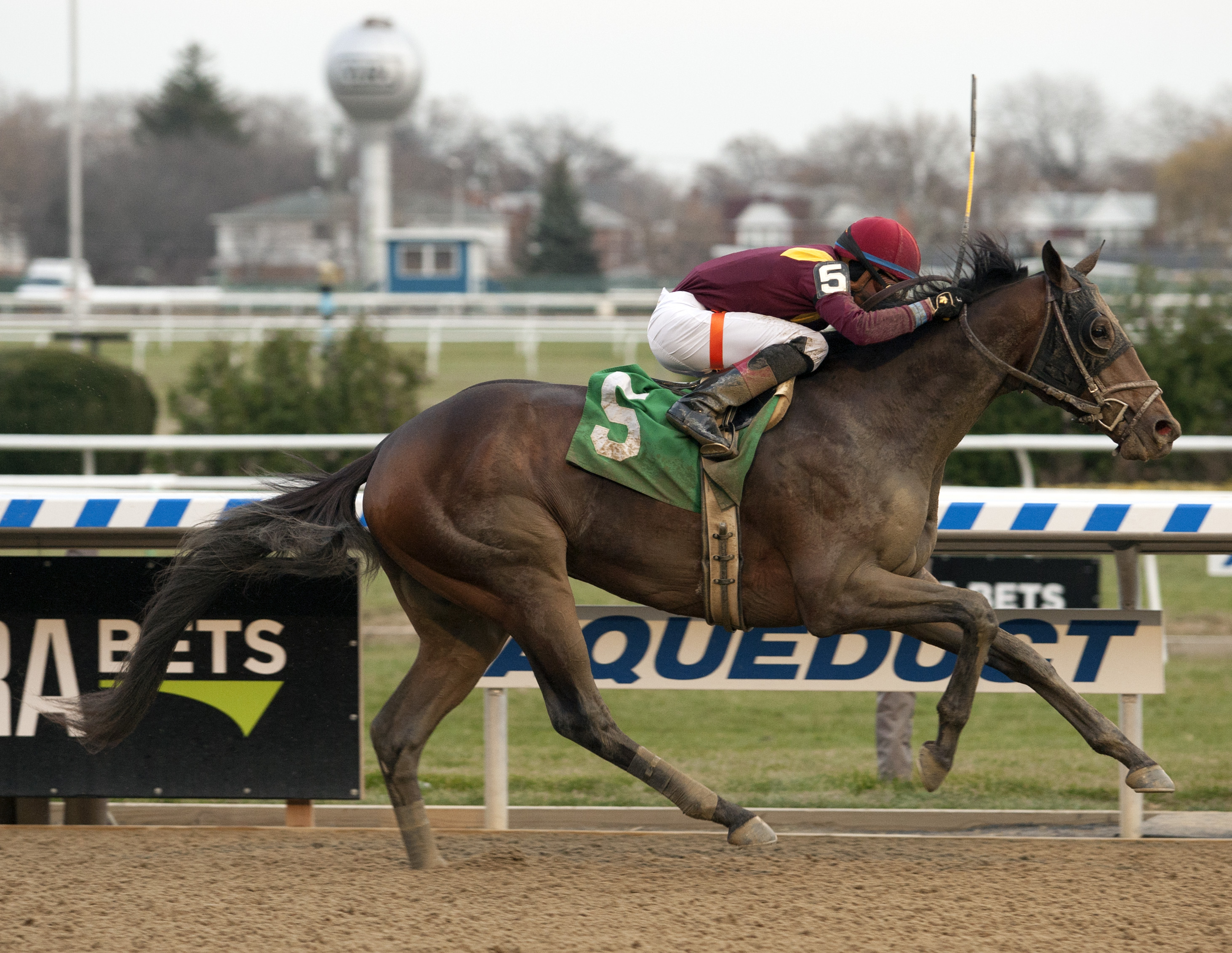 Catholic Boy wins the 2017 Remsen Stakes