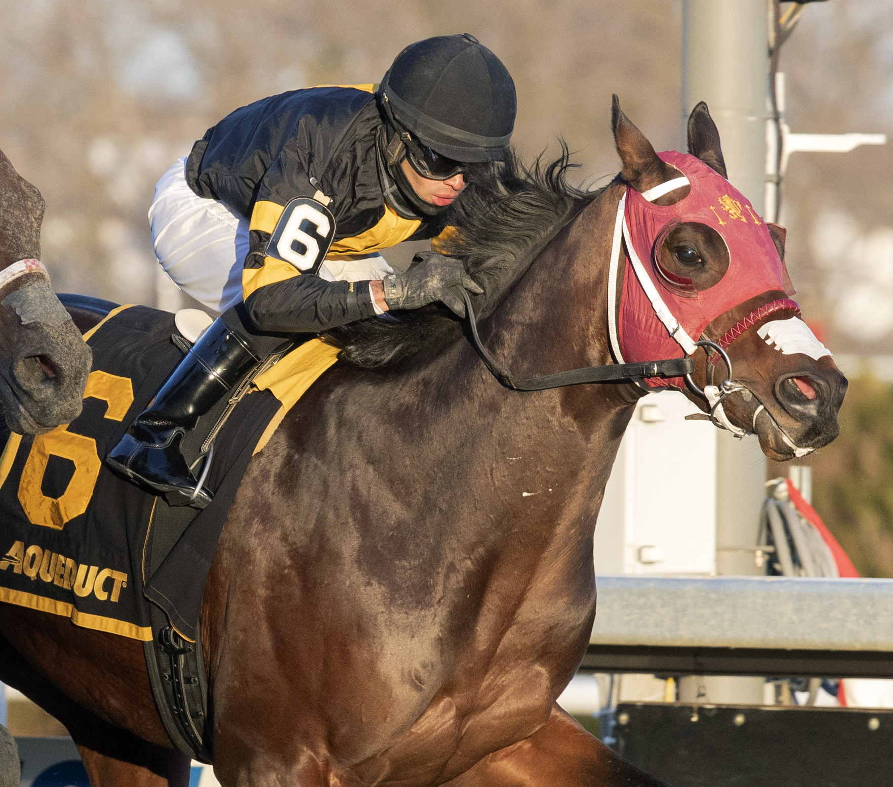 Shotski wins the 2019 Remsen Stakes