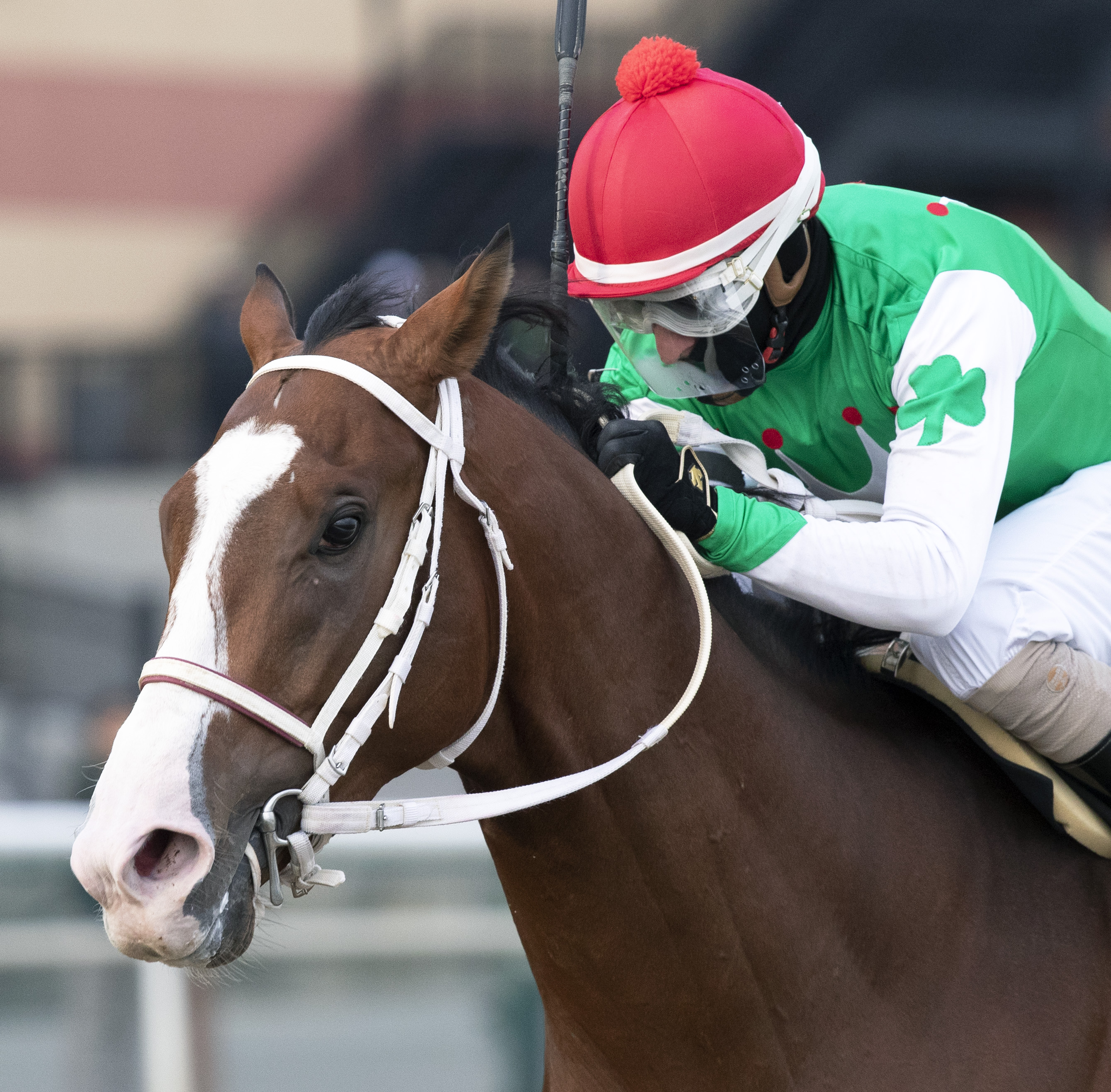 Maximus Mischief wins 2018 Remsen Stakes