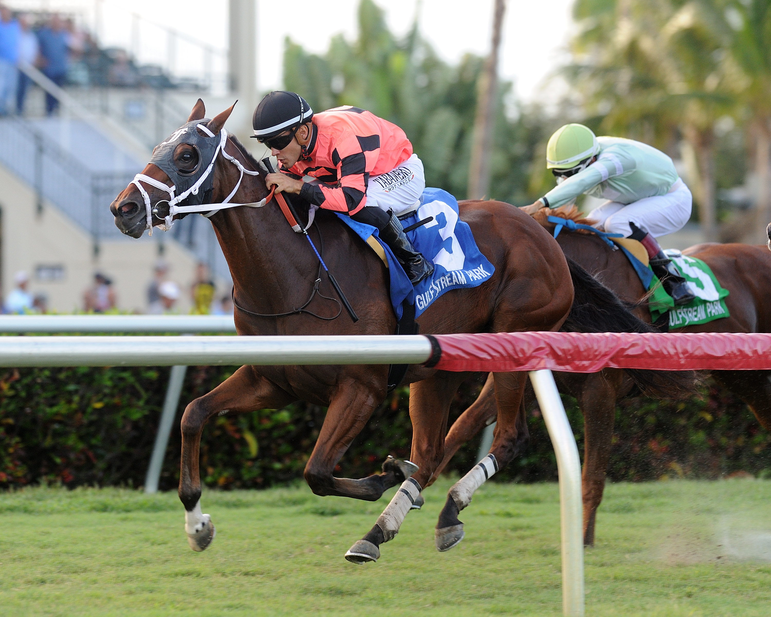 Renaisance Frolic wins 2018 Bear's Den Stakes
