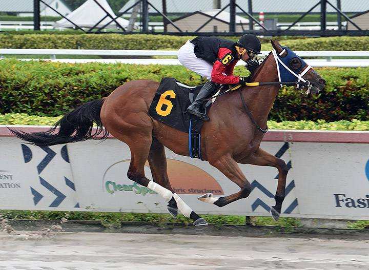 Renaisance Frolic wins a May 24 allowance at Gulfstream Park