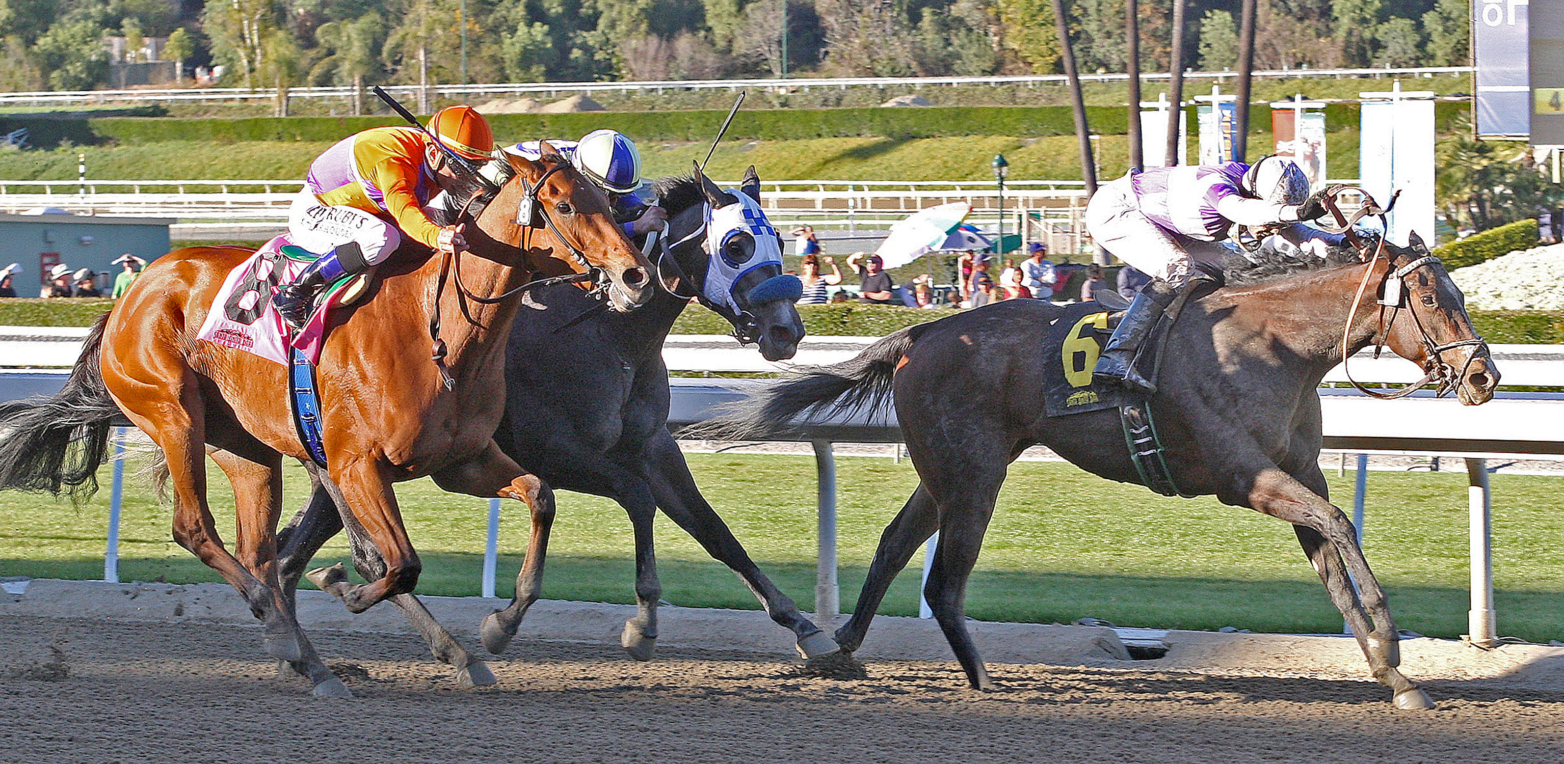 Renee's Titan wins the Santa Ynez Stakes