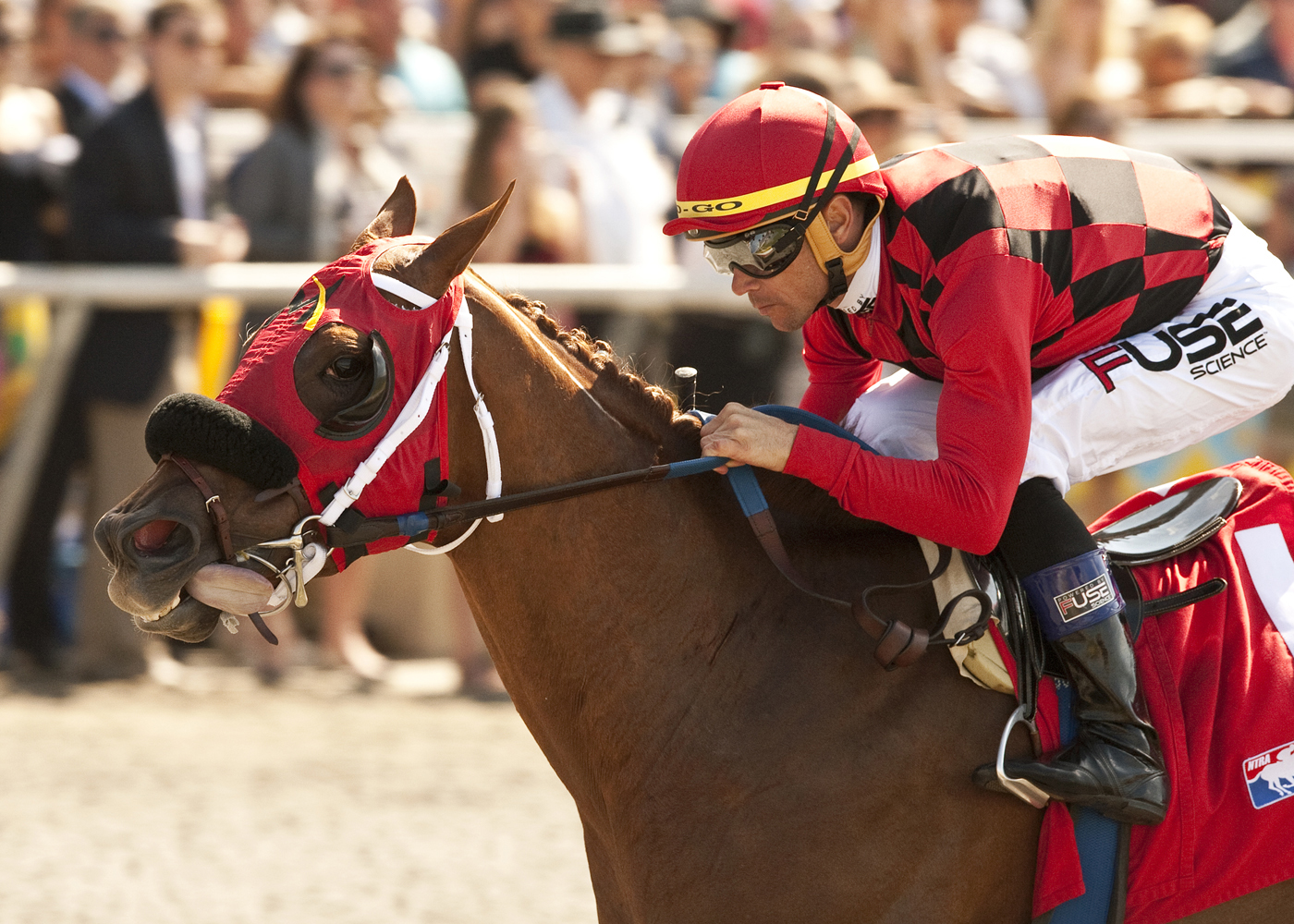 Reneesgotzip, Rancho Bernardo Handicap