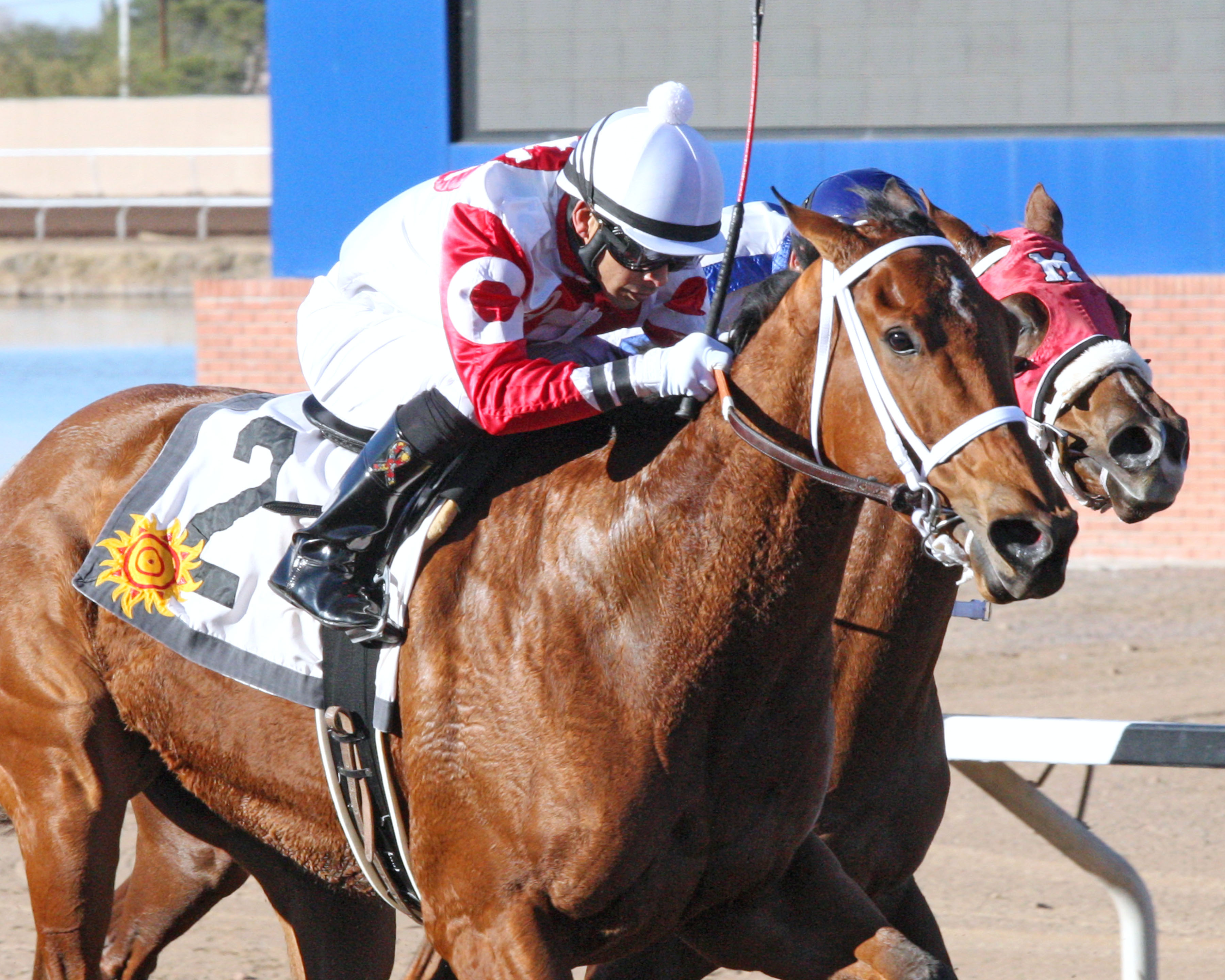Renewed Vows wins 2014 NMSRC Handicap