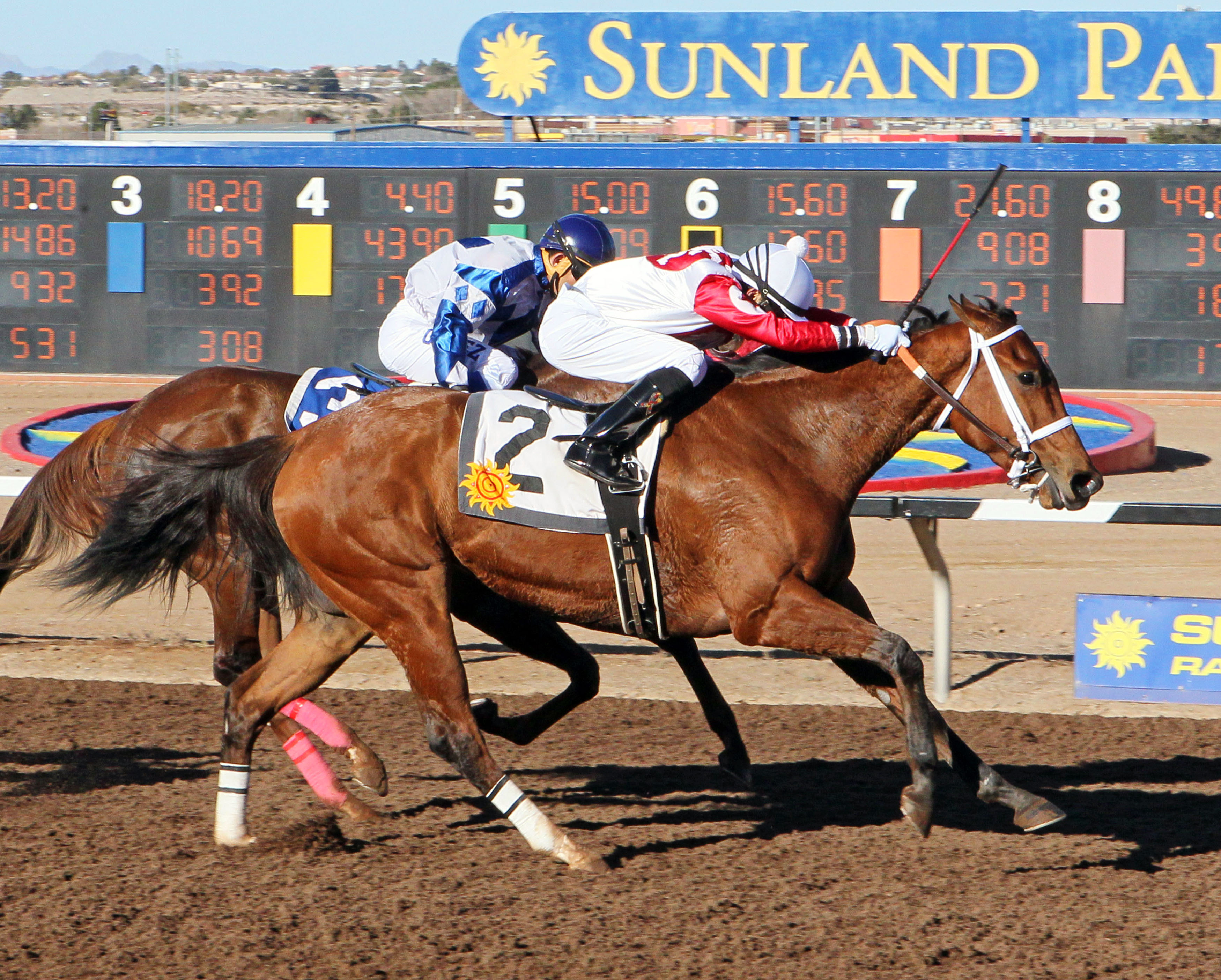 Renewed Vows wins the New Mexico State Racing Commission Handicap