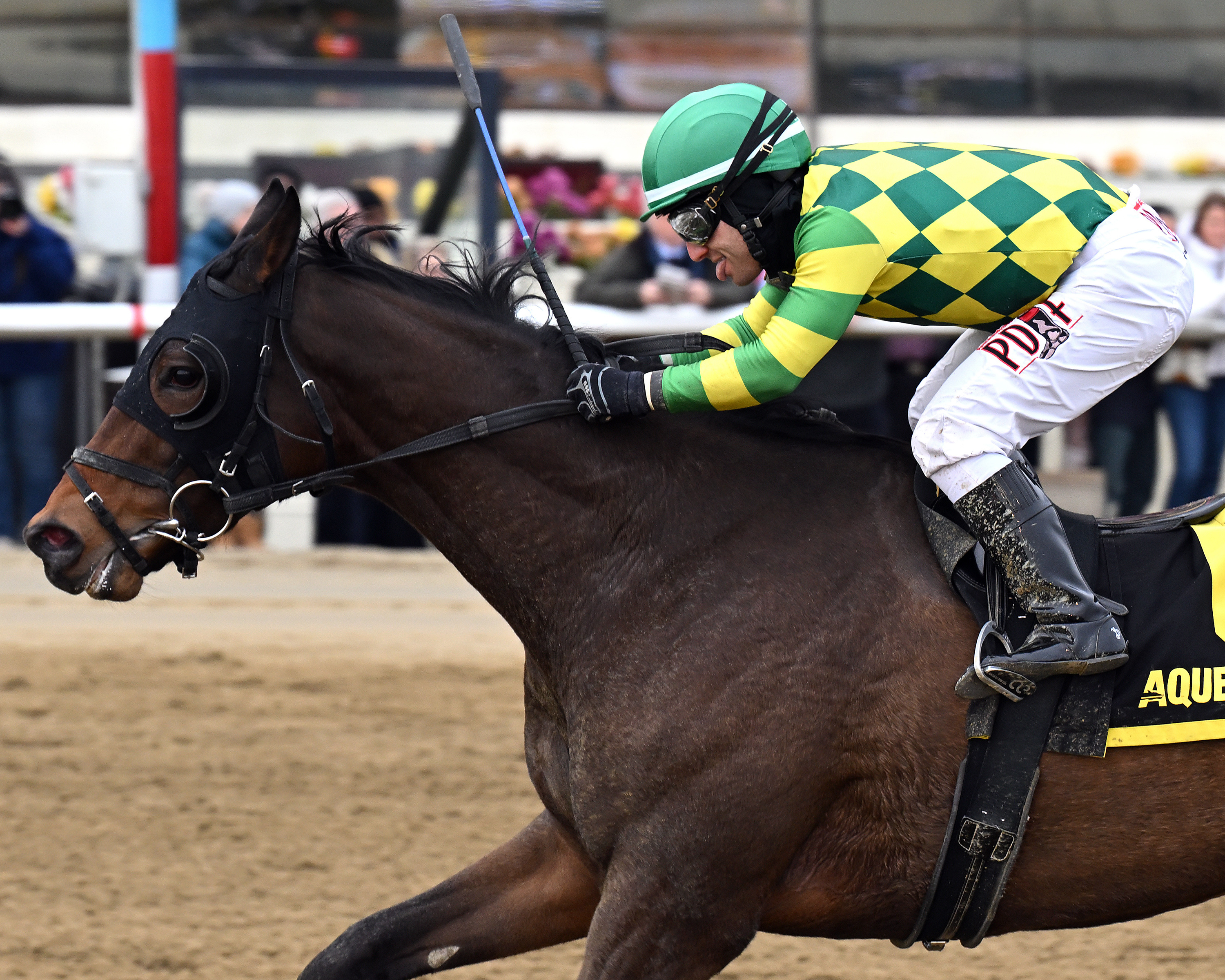 Repo Rocks wins the Toboggan at AQU Jan 28 2023